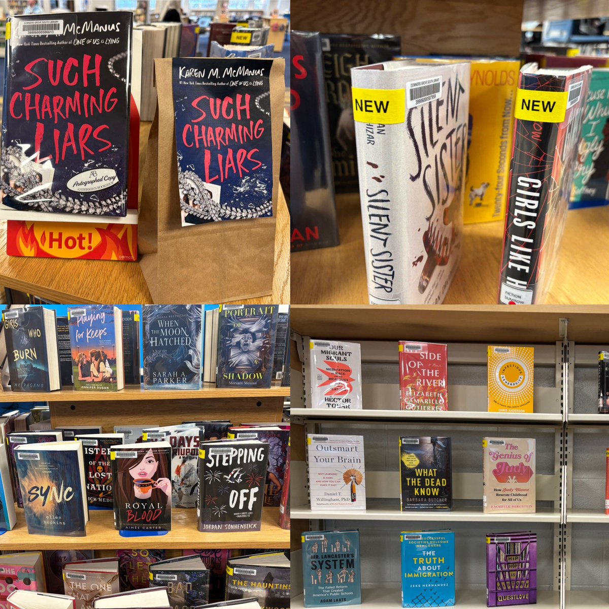 dgslibrary's tweet photo. Lots of new books 📚 ready to be checked out…including surprise book bags and inspiring title trends #dgs_reads #dgspride https://t.co/uooCYFN3HF