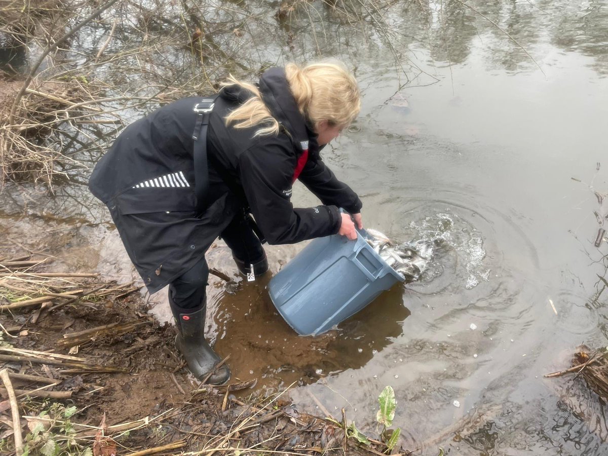 DCFishEA's tweet photo. Fisheries officers helping out with stocking from fish supplied by @FishFarmEA
#fish #fishing #restocking #rodlicenceincome https://t.co/QygTb5puP2