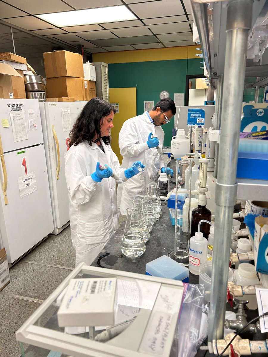 Sustainable Ag UF (@ufsustainableag) on Twitter photo Postdoctoral associate Dr. Flavia Santos, mentoring graduate student <a href="/MdShakil_Uddin_/">Md Shakil Uddin</a> in the lab as they start testing potential phosphorus #biofertilizer efficacy on #sweetcorn. <a href="/ErecStudent/">Everglades Student Association</a> <a href="/SoilWaterSci/">UF/IFAS Dept of Soil, Water & Ecosystem Sciences</a> <a href="/STEPS_STC/">STEPS Center</a> <a href="/embrapa/">Embrapa</a> Postdoctoral associate Dr. Flavia Santos, mentoring graduate student <a href="/MdShakil_Uddin_/">Md Shakil Uddin</a> in the lab as they start testing potential phosphorus #biofertilizer efficacy on #sweetcorn. <a href="/ErecStudent/">Everglades Student Association</a> <a href="/SoilWaterSci/">UF/IFAS Dept of Soil, Water & Ecosystem Sciences</a> <a href="/STEPS_STC/">STEPS Center</a> <a href="/embrapa/">Embrapa</a>