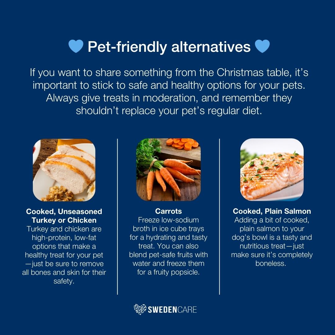 🎄Only 15 days until Christmas!🎄

Today, we’re highlighting festive foods that are unsafe for your pets this holiday season &amp; sharing some safe alternatives. 🍇🦃

Don’t forget to share this post and spread the word! ✨✨✨