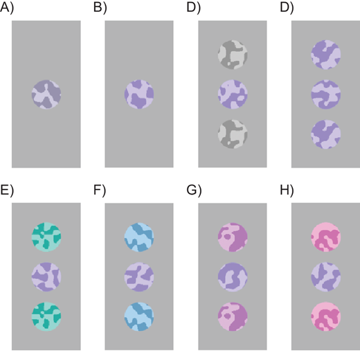 In JOV, Guido Marco Cicchini et al. present their new paper Color Crowding Considered as Adaptive Spatial Integration, jov.arvojournals.org/article.aspx?a….