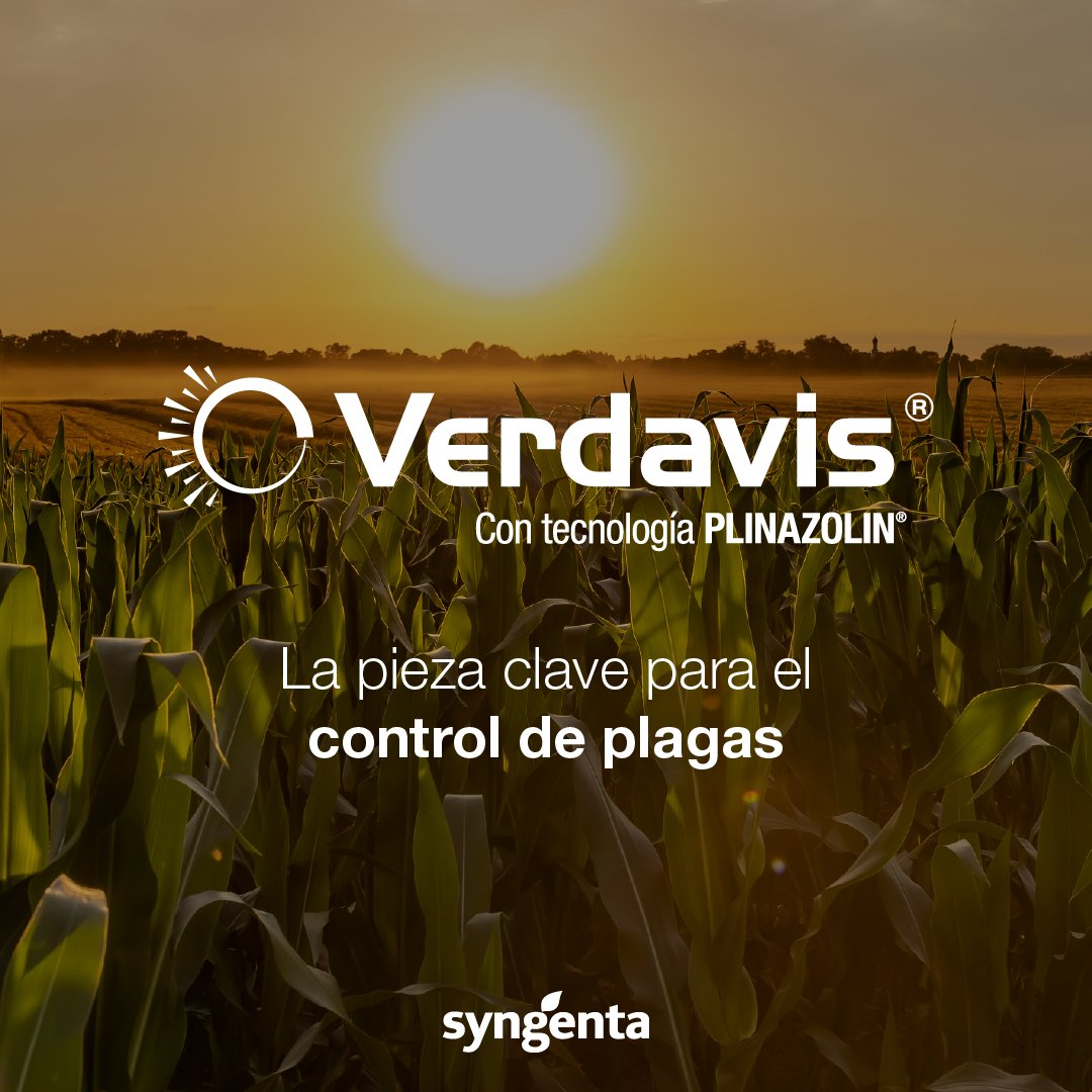 SyngentaUy's tweet photo. 🌱 Presentamos #Verdavis: Una solución innovadora diseñada para combatir las principales plagas que afectan al maíz y la soja.
¡Descubrí cómo Verdavis puede optimizar la protección de tus cultivos!
🔗 https://t.co/yh8deGc8ds
🚜 Disponible en @macciocultivar https://t.co/yw3wumh55e