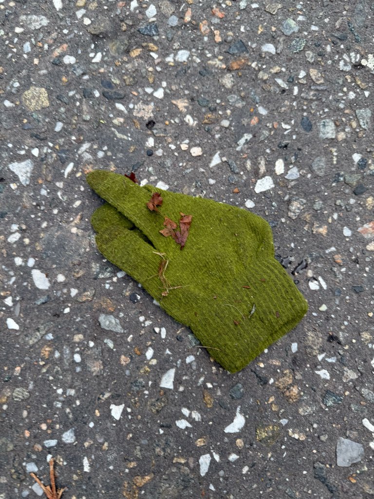One glove lying in the snow. Where's the other one? Will we ever know? 🧤 Send me photos of any lonely gloves you find and I'll reshare my faves in a #OneGlove mashup. #HolidaySeasoning