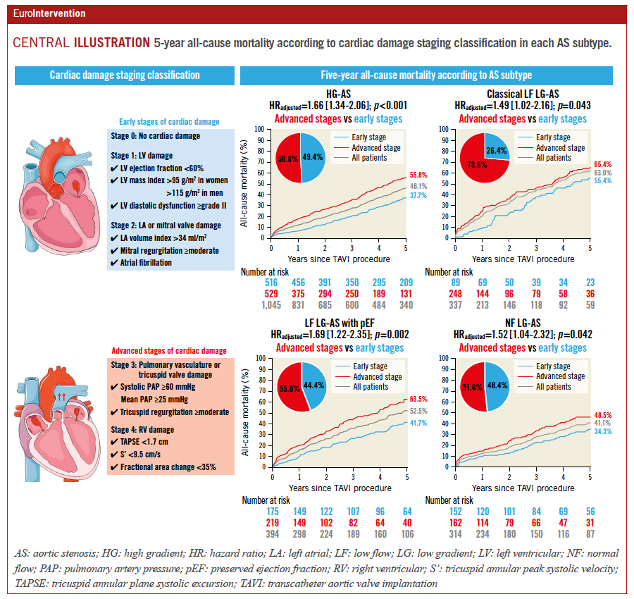 This study highlights the prognostic value of cardiac damage staging in patients with severe aortic stenosis undergoing TAVI, providing crucial insights for clinical practice and future research. #EIJBestOf
ow.ly/oBK250QiifH