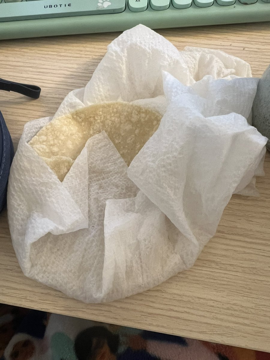 a chai and three tortilla for breakfast how about you guys 😍 (i’m out of literally everything else)