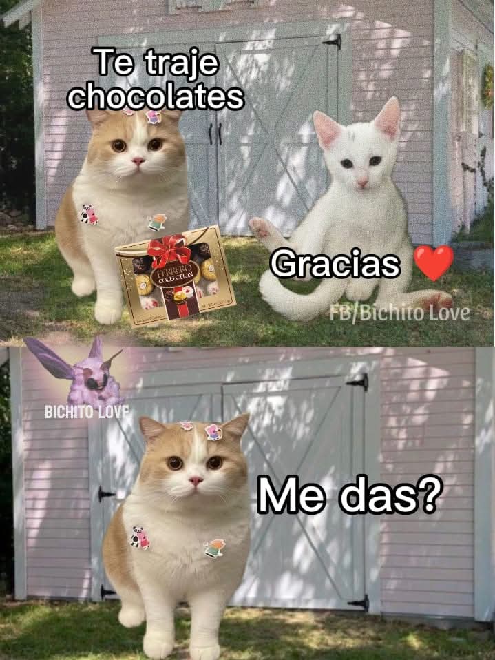 nacional_memes's tweet image. 