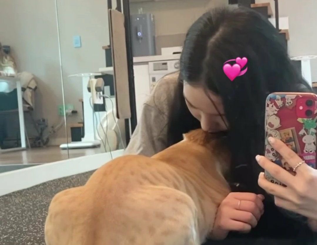 유지민 잘자🫳🫳🫳🫳🫳 내일도좋은하루보내코맛난거마니먹고따뜻하게입고다니기