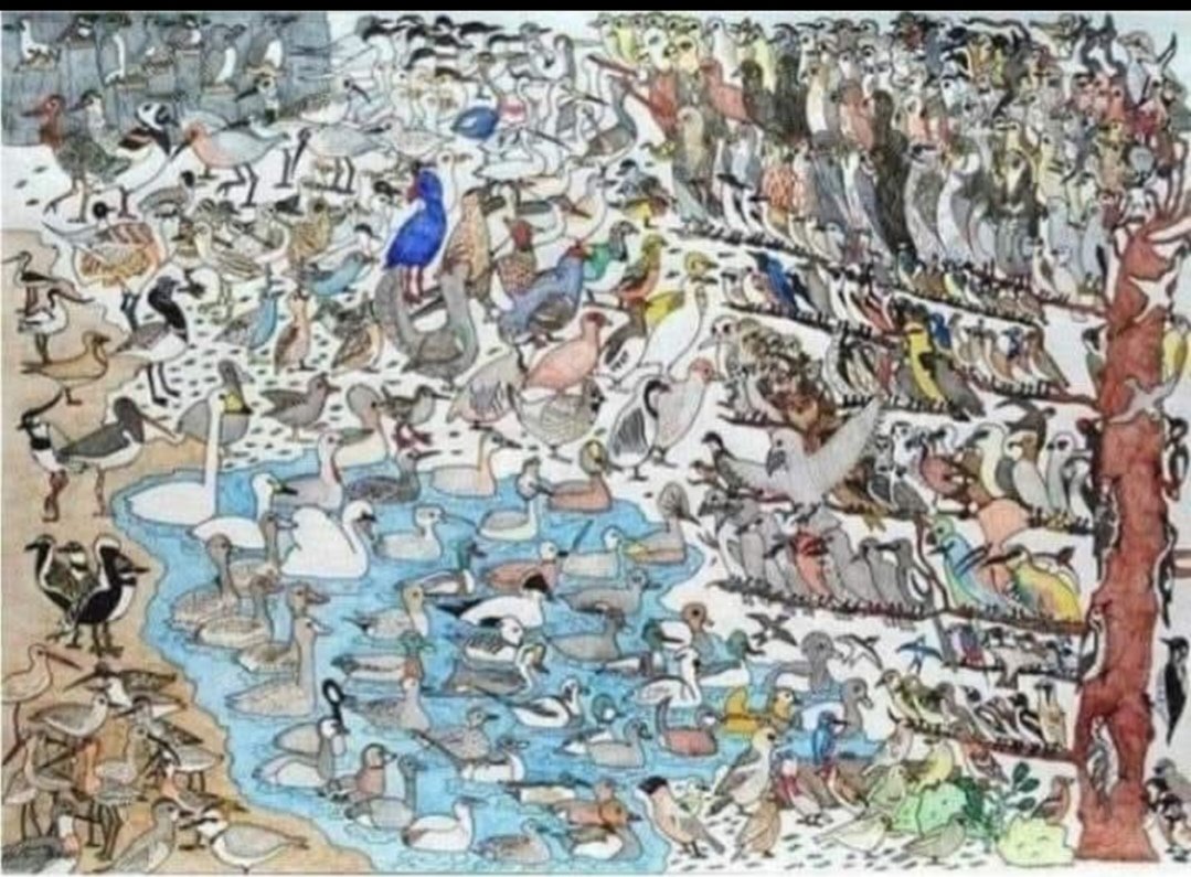 Ovo je crtež jednog malog dečaka sa autizmom.Nacrtao je skoro 400 ptica
i svakoj zna ime,vrstu i latinski naziv.
..............
Deca sa autizmom su uglavnom nadarena za nešto vezano za umetnost!!!
Ako može RT :)