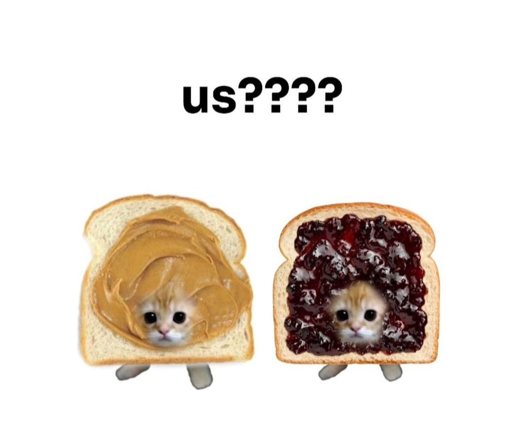 Catsillyness's tweet image. Us?