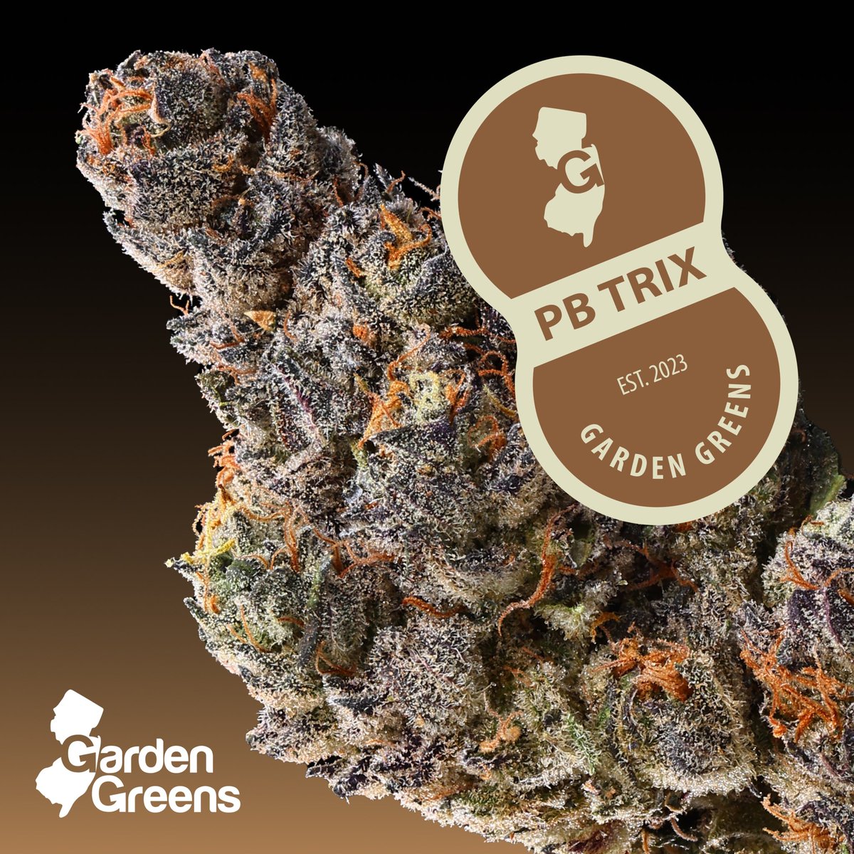 Silly rabbit, this Trix isn’t for kids. 

PB Trix hits with a rich flavor profile that balances creamy peanut butter notes with a touch of diesel and sweet pine. The high is relaxing yet social, perfect for kicking back with friends

So grab PB Trix and enjoy the nutty goodness.