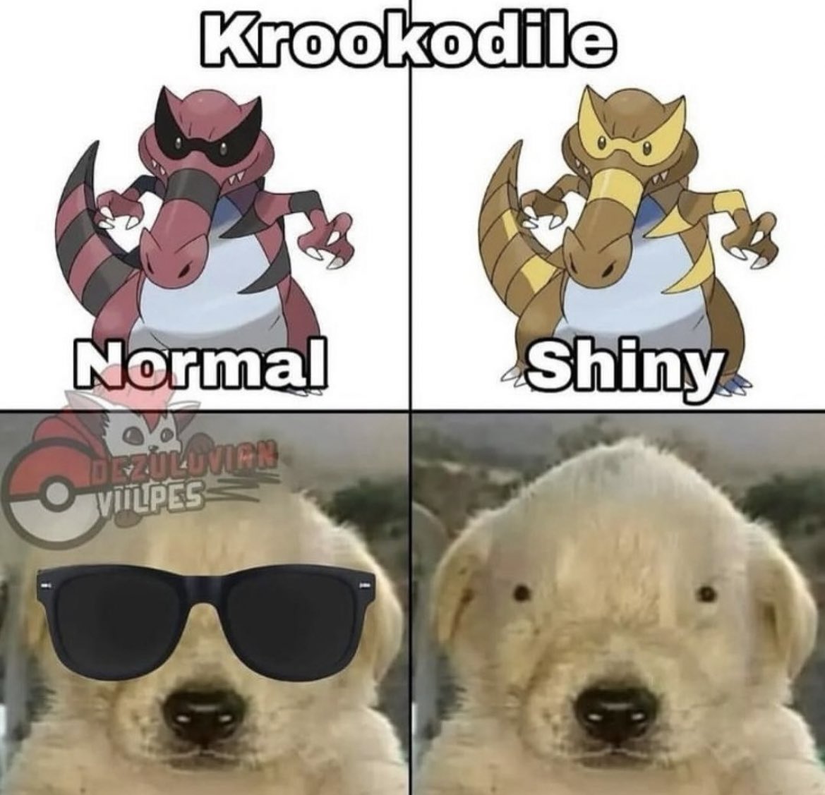 Sinnoh🌙 (@sinnoh_ceo) on Twitter photo 