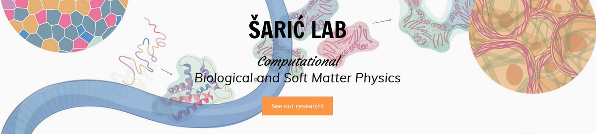 ComeInCell (@comeincell) on Twitter photo Are you a fan of #ComputationalBiophysics?🖥️
The <a href="/SaricLab/">Andela Saric</a> at the #ISTA is seeking a talented #PhDcandidate to investigate the fascinating interplay between #MolecularCondensates and #CellMembranes.
Check our #PhDposition: comeincell.org/dc12-in-silico… #MSCA #ComeInCell Are you a fan of #ComputationalBiophysics?🖥️
The <a href="/SaricLab/">Andela Saric</a> at the #ISTA is seeking a talented #PhDcandidate to investigate the fascinating interplay between #MolecularCondensates and #CellMembranes.
Check our #PhDposition: comeincell.org/dc12-in-silico… #MSCA #ComeInCell