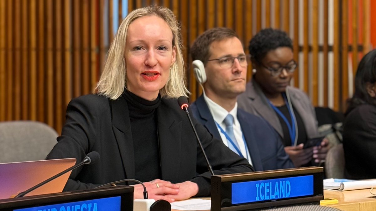 IcelandUN's tweet photo. Iceland is pleased to announce an additional contribution to @UNCERF of 70 million ISK at #CERF20. Flexible and predictable funding for emergencies is of utmost importance to 🇮🇸 #InvestinHumanity 🇺🇳 https://t.co/MF57WQnXD6