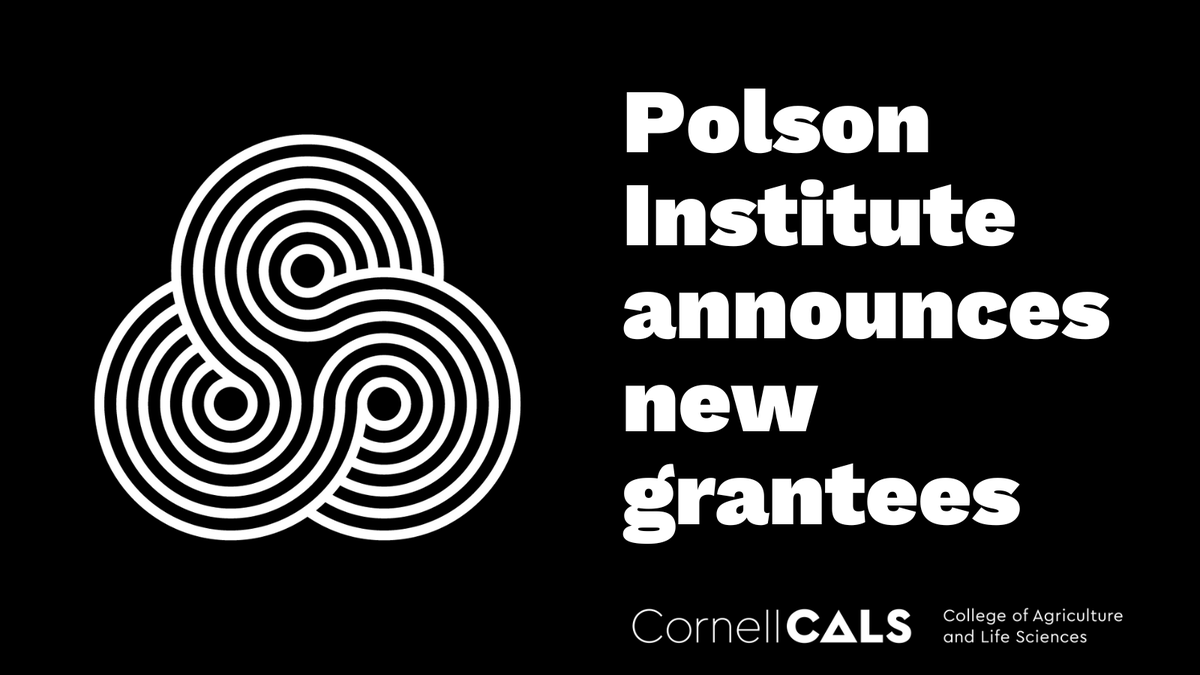 The Polson Institute for Global Development is pleased to announce its fall 2024 grants to support research at the intersection of systemic inequality and social-environmental justice.

🌟 Read about all 8 grantees and Polson's highlights from 2024: cals.cornell.edu/news/2024/12/p…