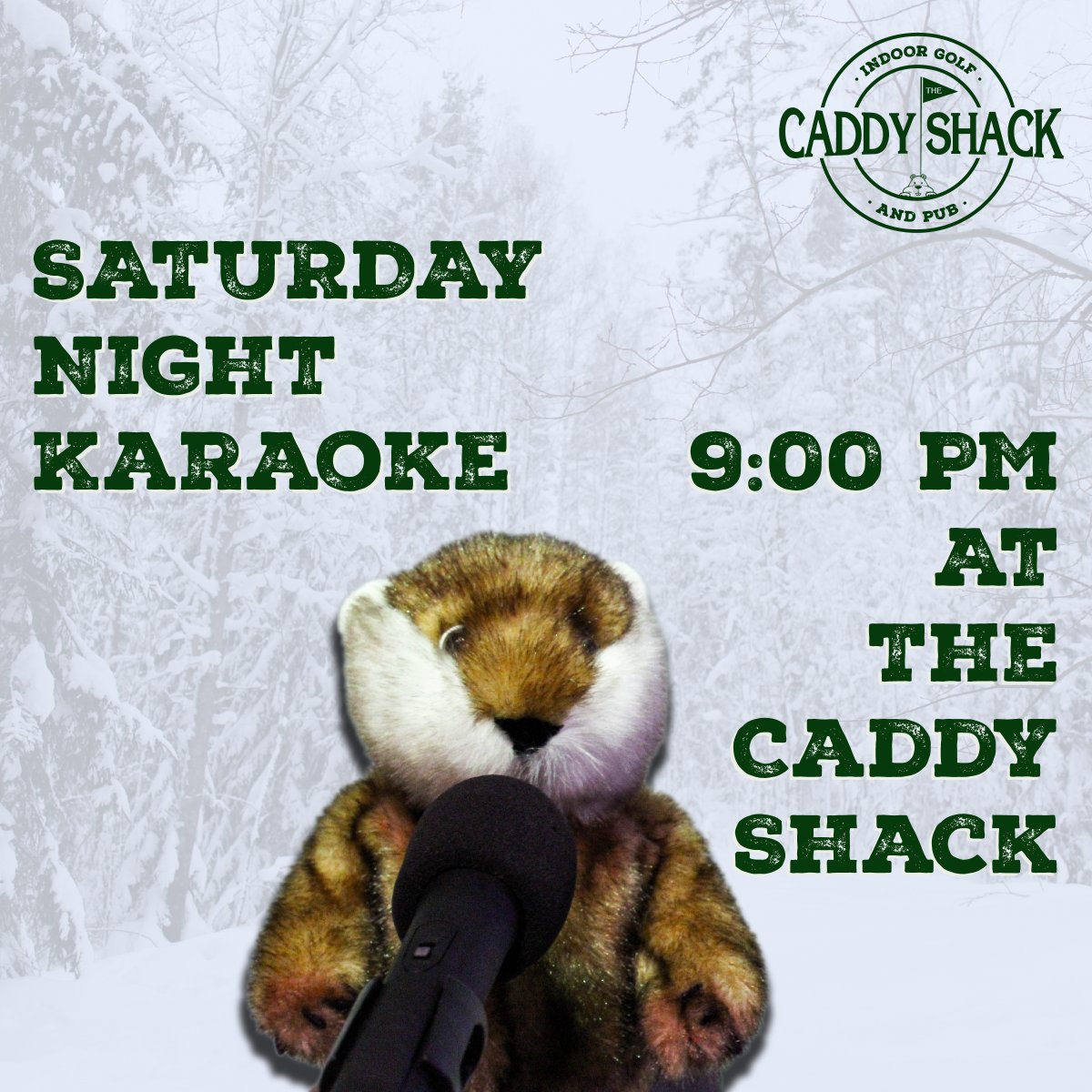 This Saturday is a busy one! ☃️ Kicking it off with the Lincoln Park Business Group's Winter Market, followed by Twin Ports Comedy's Funniest Person In The Twin Ports Finals, and karaoke to finish the night off 🎙