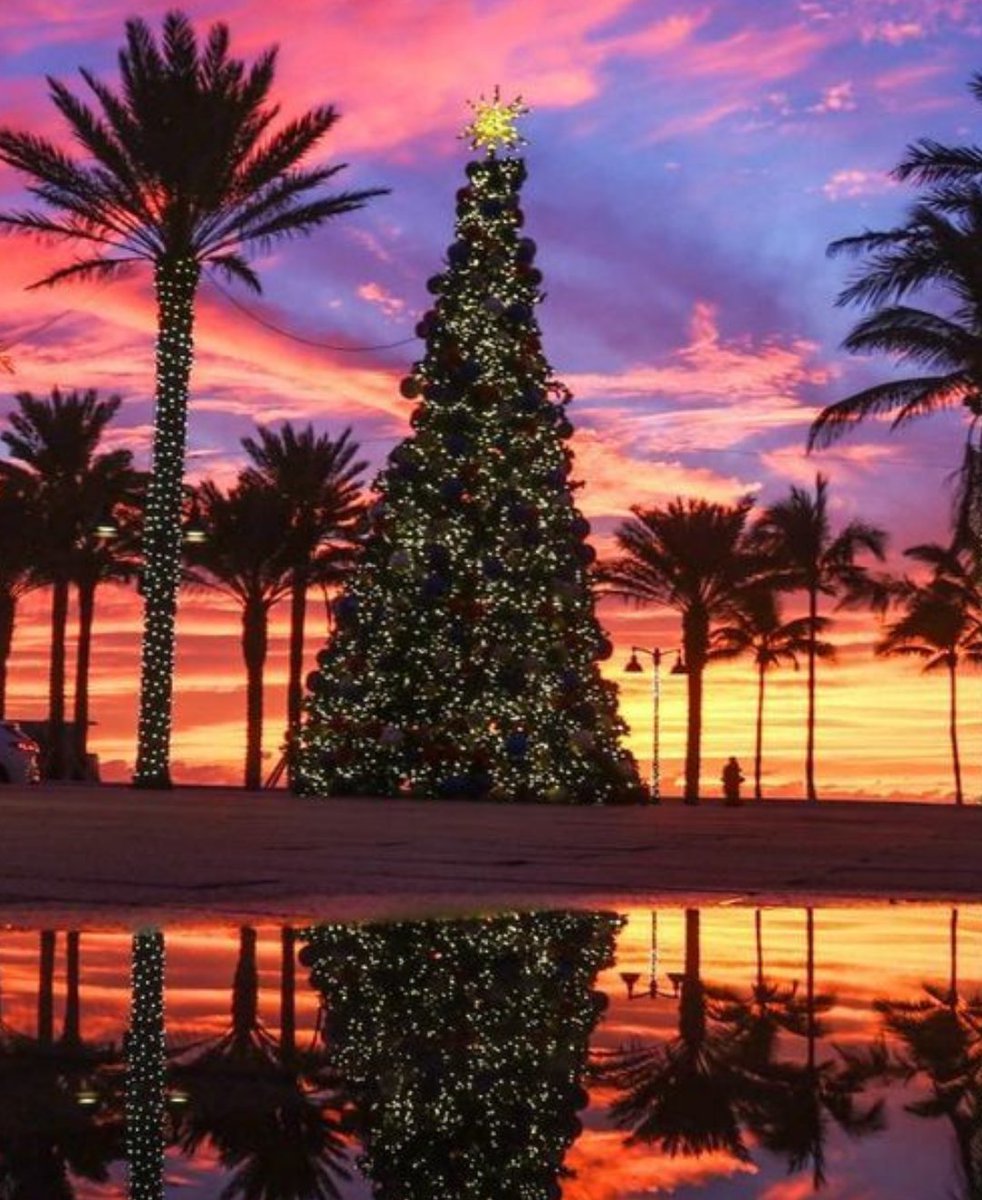 Visit Lauderdale tweet media