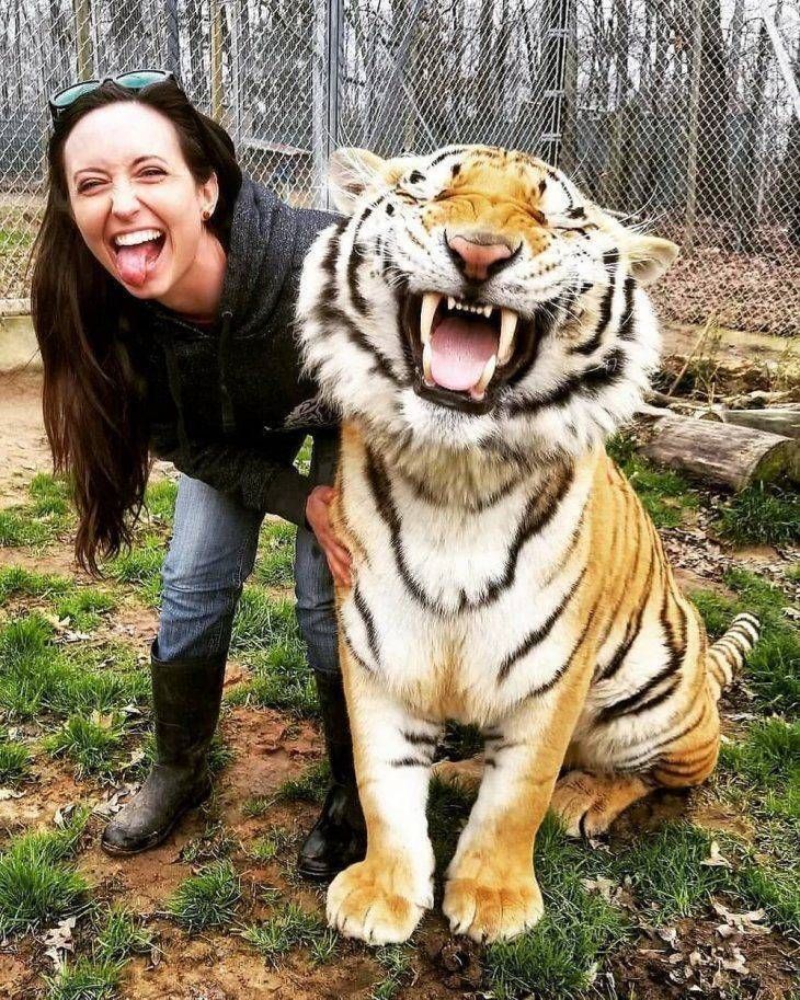 Why you should love animals tweet media