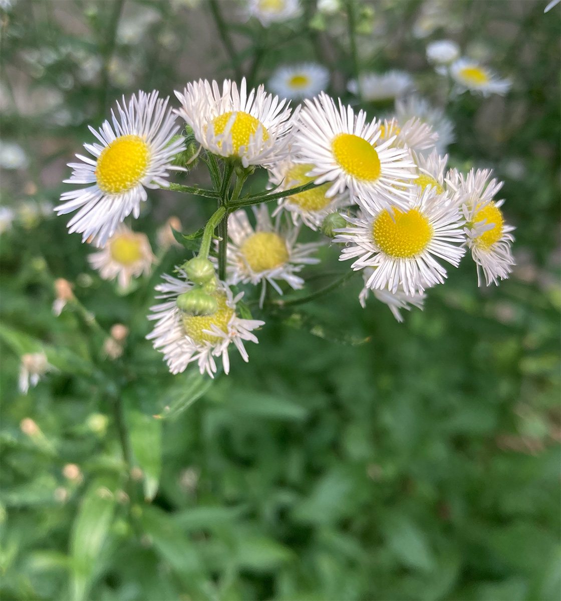 NYYM Clerk Gloria Thompson's email &amp; contact list have been hacked - mailchi.mp/nyym.org/glori…