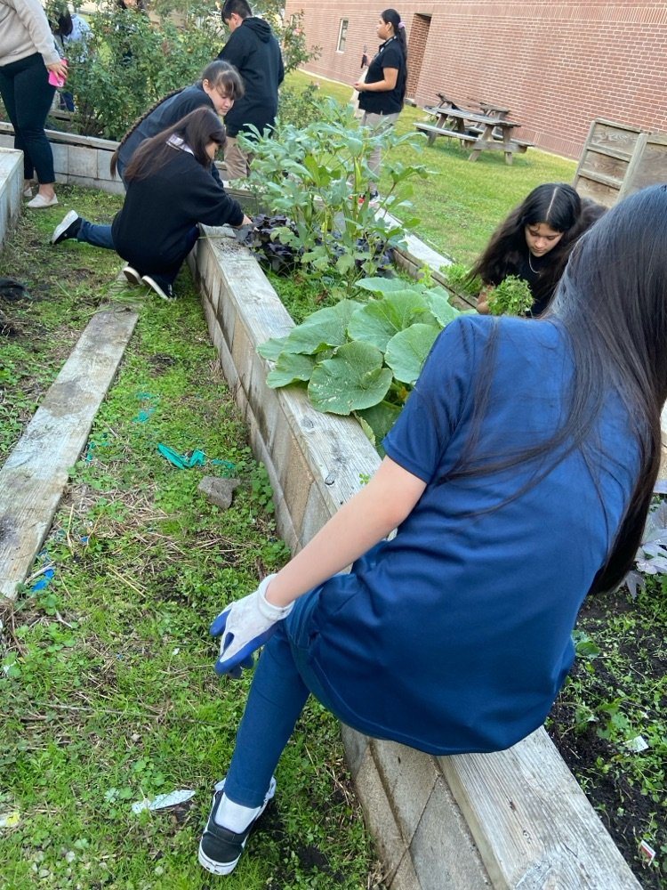 AMS ECHO x Chemours | Our cubs are always excited to garden and learn about plants! | <a href="/chemours/">The Chemours Company</a> <a href="/Sroninub2Newby/">Sharonda Newby, Ed.D</a> <a href="/HeyMrsCarterrrr/">Shonta Henderson-Carter</a> @MMrbracy @theexeceffect @aliefisd | Connect with us: aliefms.aliefisd.net | facebook.com/AMSalief/