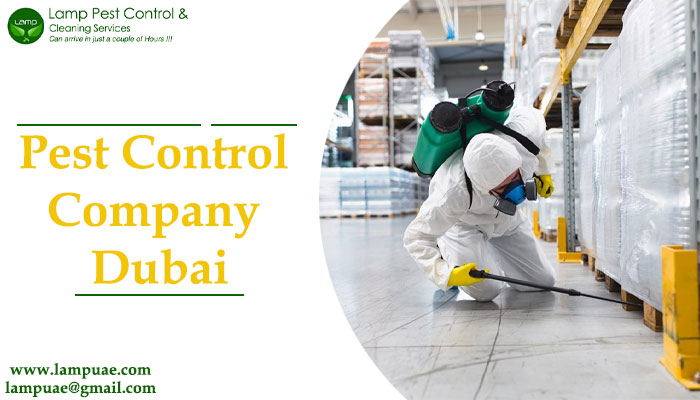 maicletom's tweet image. pest control company Dubai:- Looking for effective #pest_control in Sharjah? Our lampuae is the solution you need! Keep your home free of #cockroaches with our reliable services. Join our satisfied customers today. To view more info visit us: lampuae.com