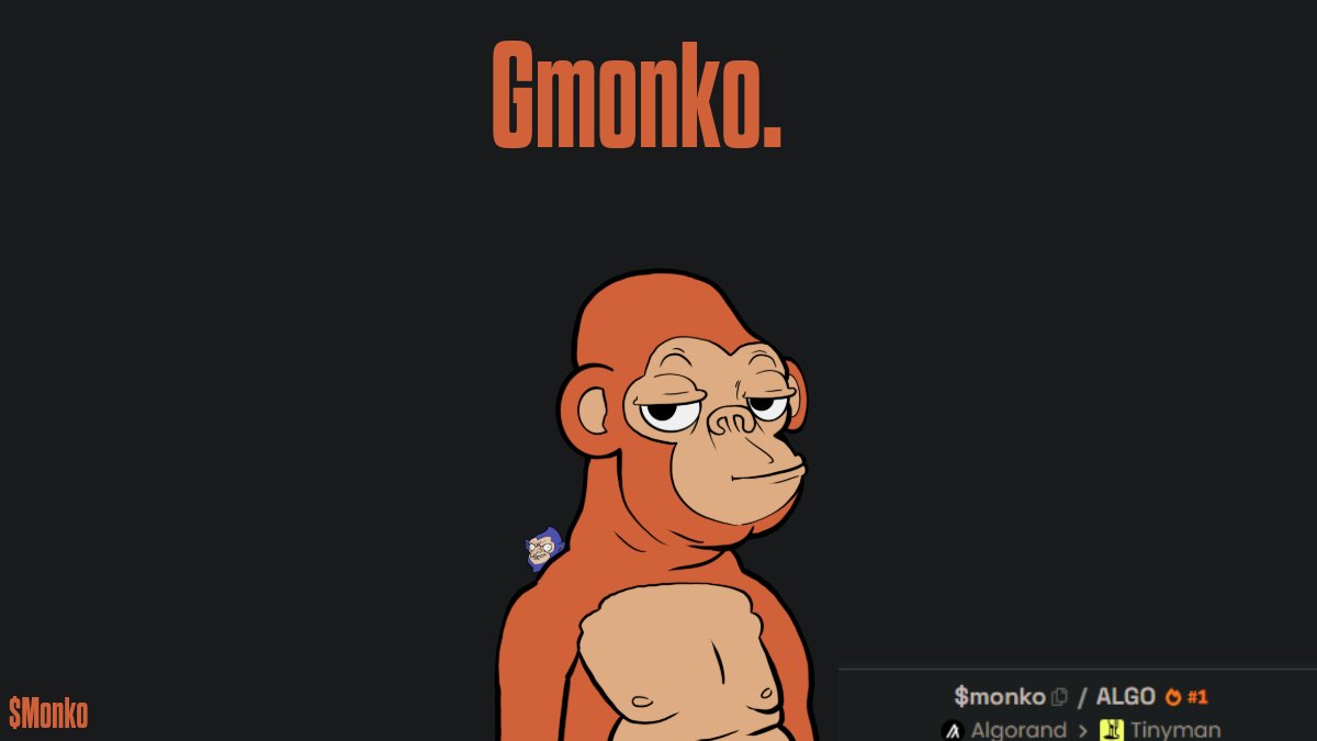 monko 🐝 tweet media