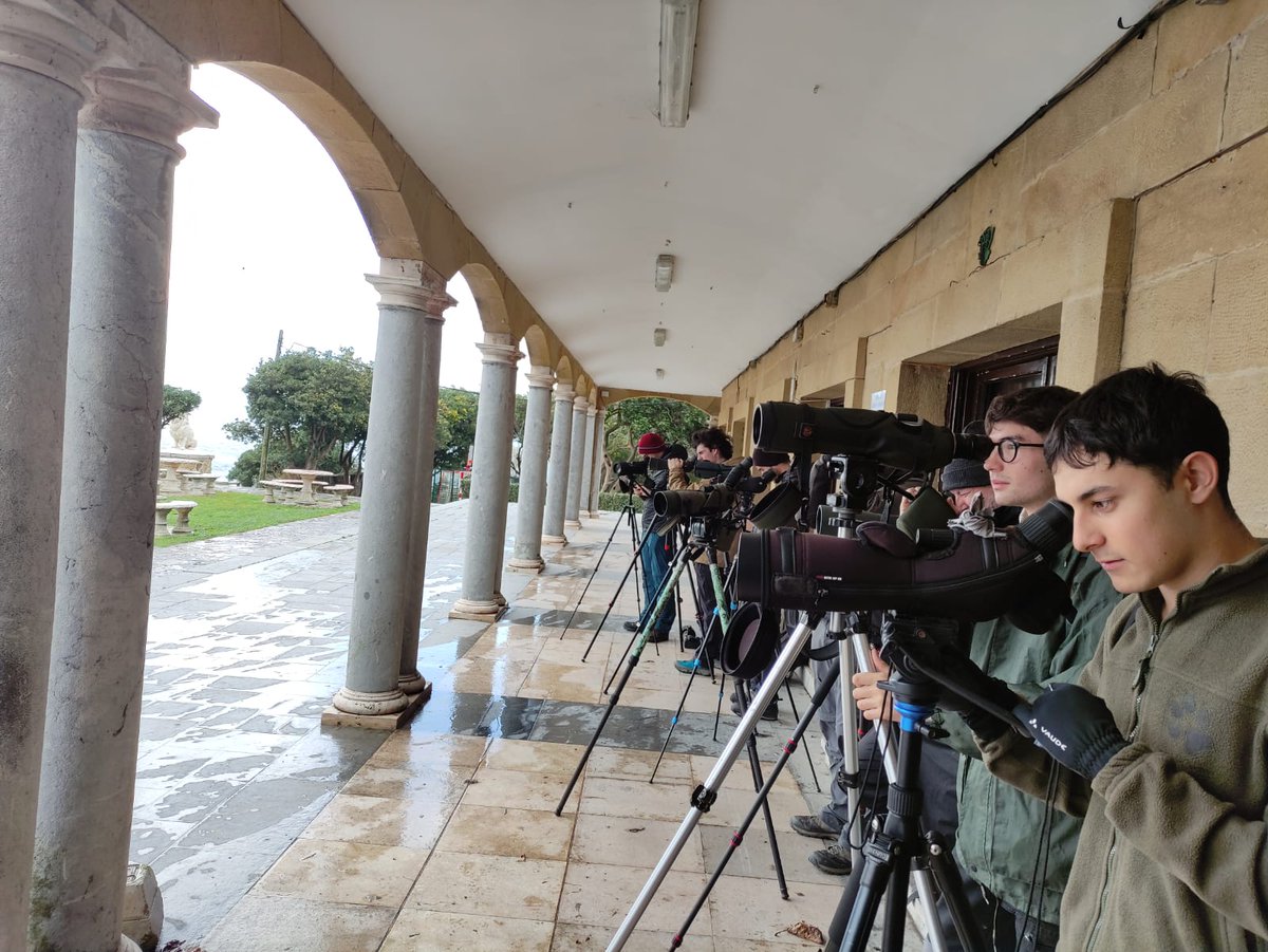 David Santamaría Urbano (@davidsu26) on Twitter photo 