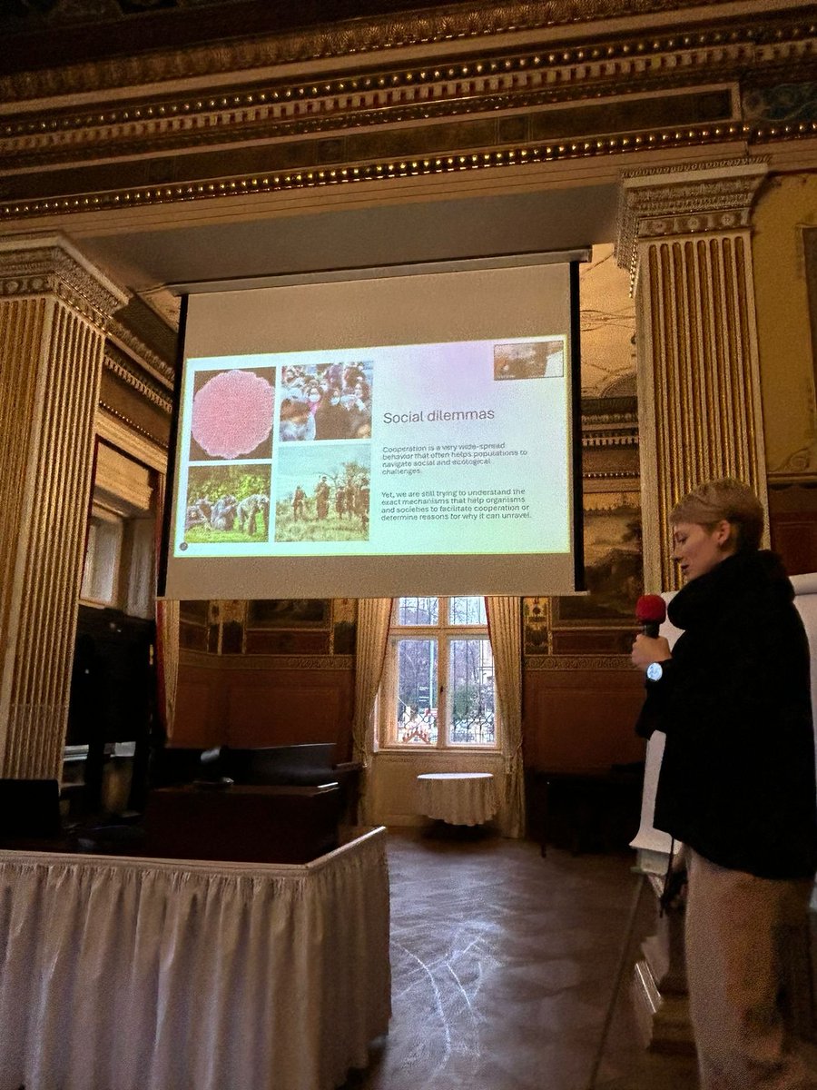EvoGamesPlus (@evogamesplus) on Twitter photo This afternoon we have another keynote talk by <a href="/mariakleshnina/">Maria Kleshnina</a> on Resilience in the evolution of cooperation and measuring the effect of inequality! 📜🏛️
#EvoGamesPlus This afternoon we have another keynote talk by <a href="/mariakleshnina/">Maria Kleshnina</a> on Resilience in the evolution of cooperation and measuring the effect of inequality! 📜🏛️
#EvoGamesPlus