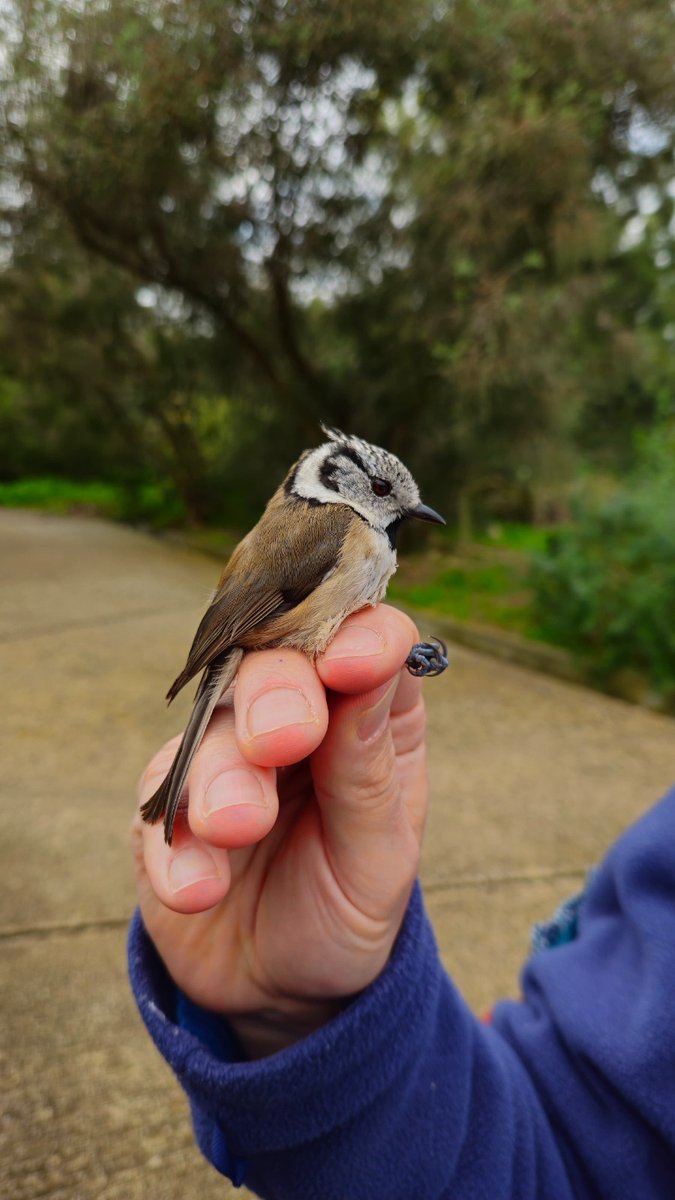 Parcs i platges AMB tweet media