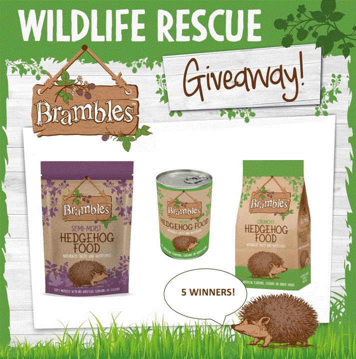 Quick Giveaway before Christmas 😀
5 Wildlife Rescues can each win:-
🦔4 bags 2Kg Brambles Crunchy Hedgehog Food
🦔24 tins Brambles Meaty Hedgehog food
🦔4 bags 1.3Kg Brambles Semi-Moist Hedgehog Food
Tweet your favourite Rescue to win, ends 11/12/24 at  11.59pm.