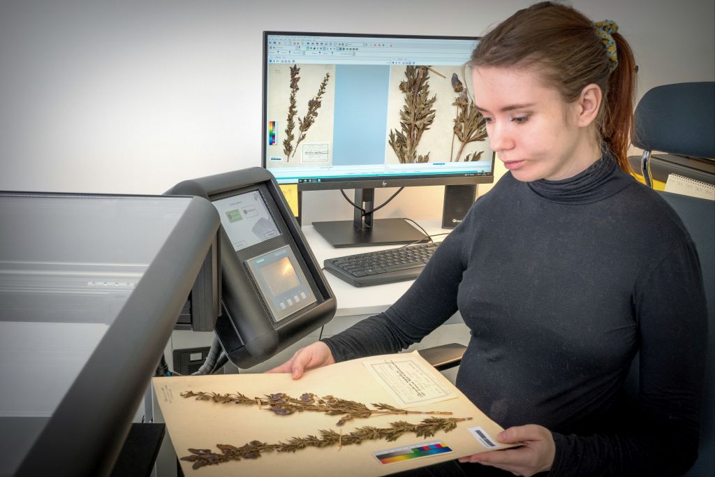 1/2 VČM <a href="/VPardubice/">Východočeské muzeum - Zámek Pardubice</a> (📷) dokončilo digitalizační projekt s podporou Národního plánu obnovy a <a href="/MinKultury/">Ministerstvo kultury</a>. Dovršilo mnohaleté úsilí o profes. digitalizační pracoviště. Zřídilo ho před 4 lety v Ohrazenicích – má skener knižní a velkoplošný, pro diapozitivy a špičkové foto-studio.