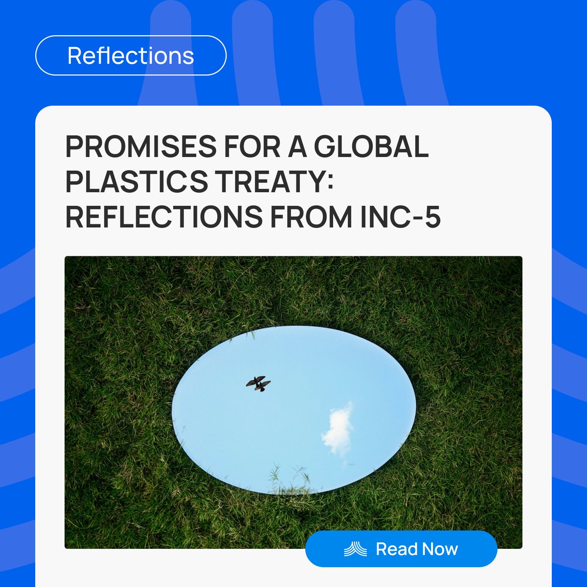 MedWaves_Centre's tweet photo. π The journey to a global plastics treaty continues!
#INC5 may not have reached its final conclusion, but it sent a clear signal: the urgent need for #truth4change and stronger global unity. Regional efforts remain key to amplifying these calls.
β‘οΈ https://t.co/xyytZG1hhd https://t.co/4VzAuDWSEB