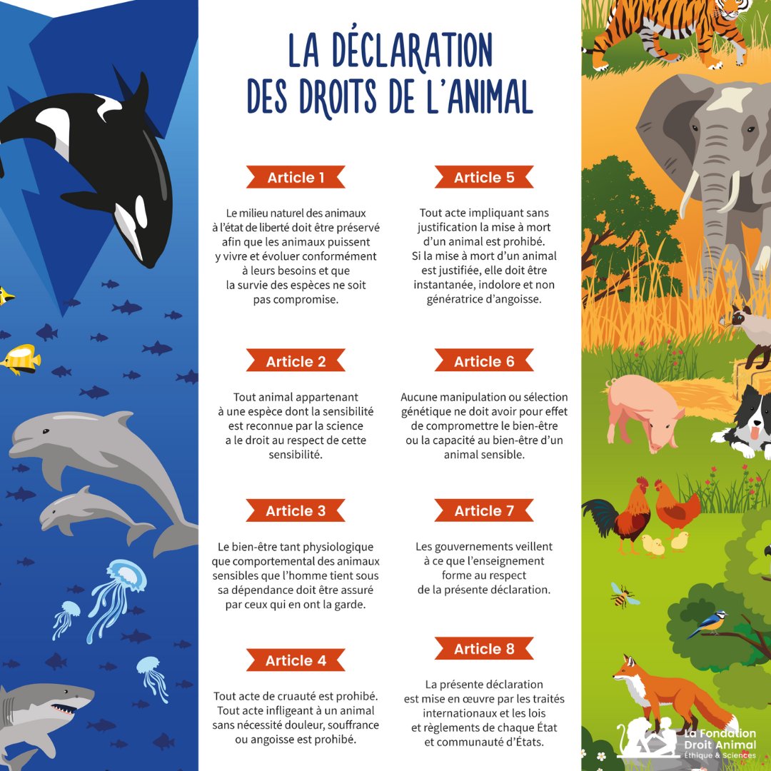 📜 Connaissez-vous la Déclaration des droits de l’animal ?
À l’origine manifeste philosophique précurseur proclamé solennellement à l’UNESCO, la Déclaration a ensuite pris la forme d’une proposition concrète destinée à être traduite dans les lois, les règlements et les pratiques.