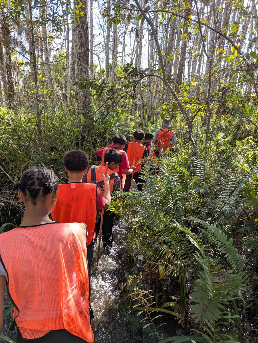 PiperEarthSpace's tweet photo. SWAMP day 4 with @IMS_Indians 
🦦🐟🦗🐝
"I've gotta come back here again" https://t.co/LTh2sIhBpE