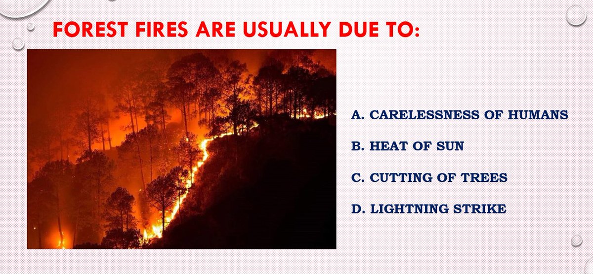 DM_Mayurbhanj's tweet photo. Comment Your Answer 📷
#SaveSimilipal #Similipal #Mayurbhanj #QuizOfTheDay
@ForestDeptt
@IPR_Odisha
@MIB_India
@UNEP
@Similipal_South https://t.co/lGUez2NfrT