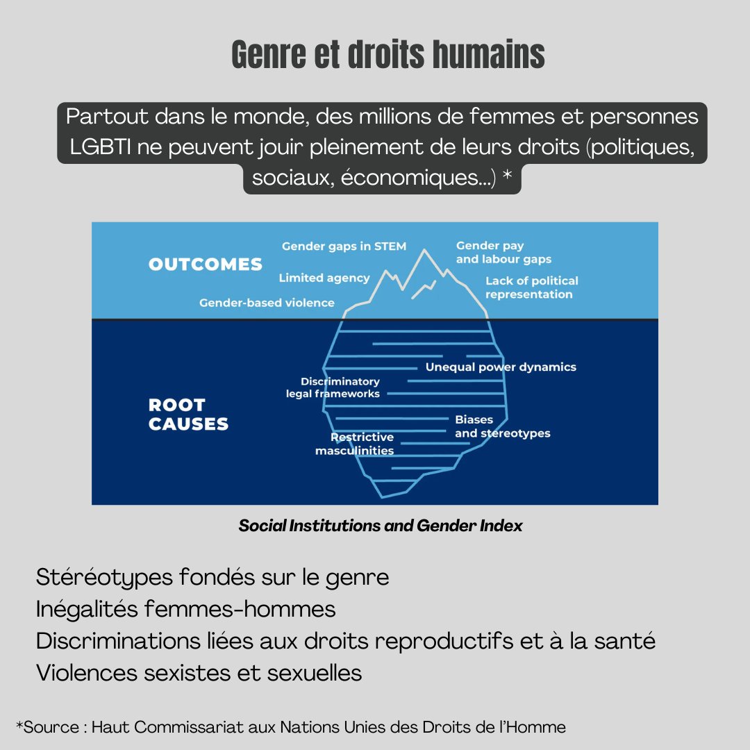 Institut du Genre en Géopolitique tweet media
