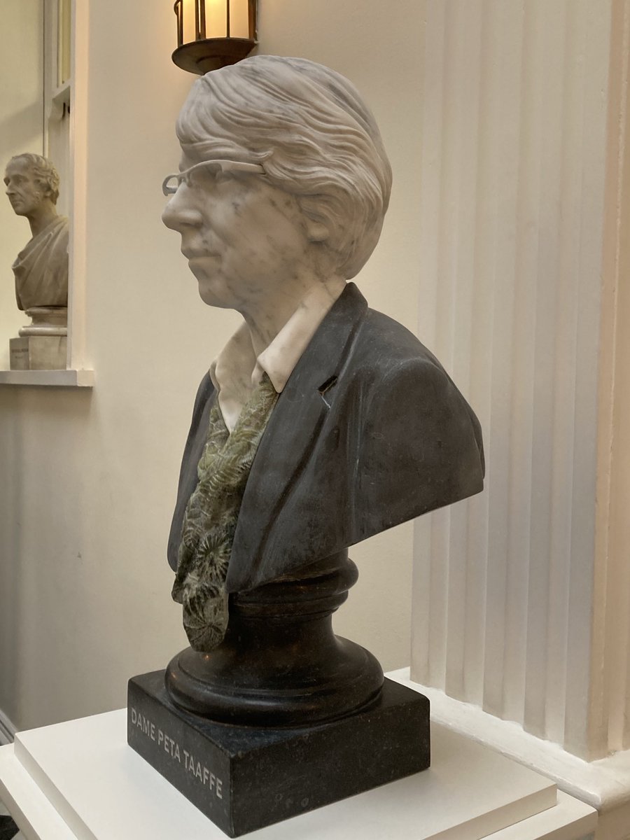 mapflynn's tweet photo. Spectacular morning ⁦@RCSI_Irl⁩ Faculty of Nursing &amp; Midwifery unveiling sculpture of my great friend &amp; mentor Dame Peta Taaffe. Commissioned to celebrate 50 anniversary. Peta is one of the founding members of Faculty and 1st chief nurse of Ireland ⁦⁦@NurMidONMSD⁩ https://t.co/E9F5Ea1aOT