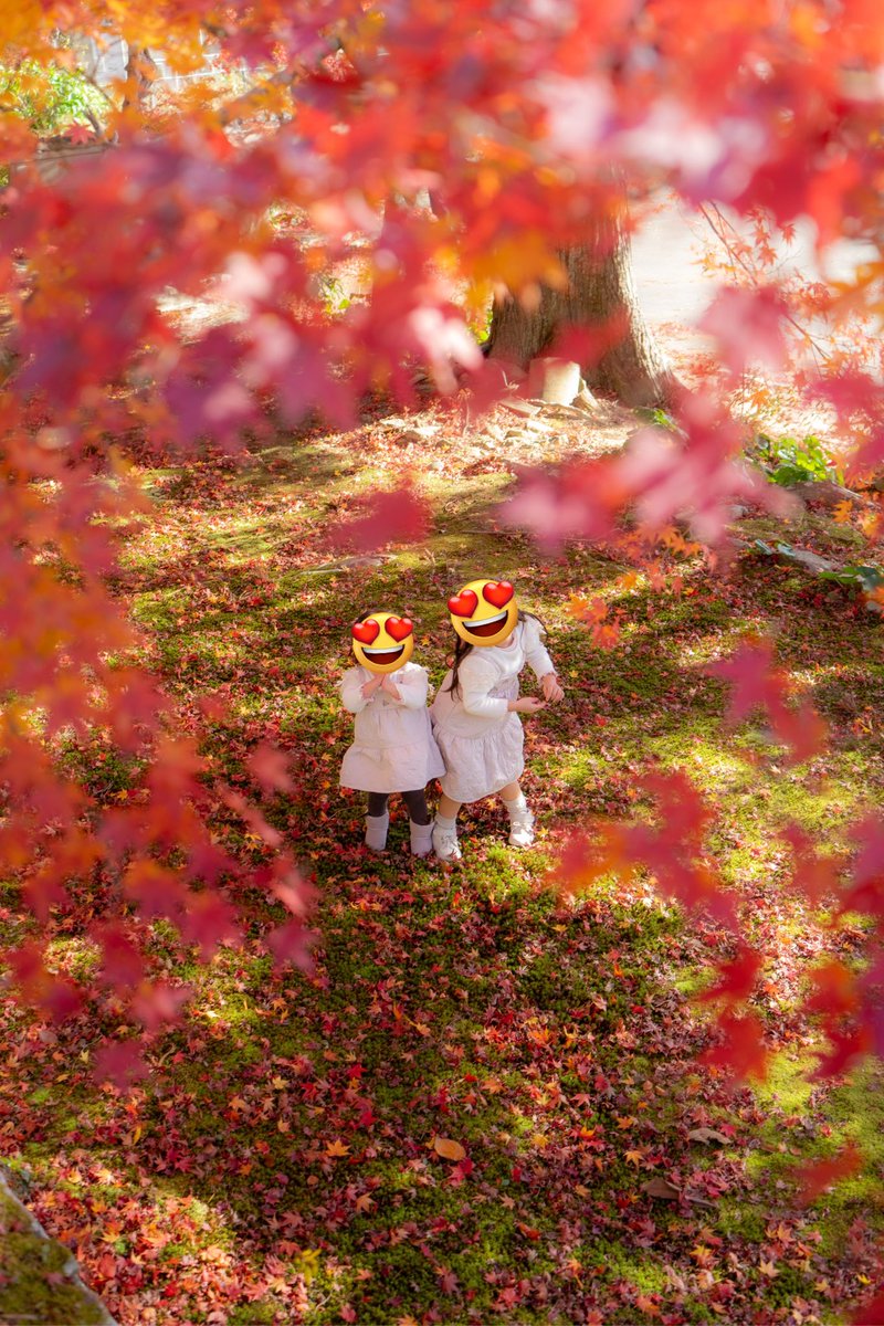 TAKI_ymgc's tweet photo. @colorsfmy おはようございます！山口の大工さんです！
今年もこのトークテーマ待ってました！
今年も子どもたちの写真を沢山撮りました！
多分1万枚くらい撮影したと思います！笑
来年も子どもたちを山口県の風景と撮影したいです！ https://t.co/7RuRTDunbm