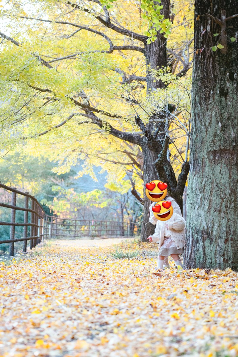 TAKI_ymgc's tweet photo. @colorsfmy おはようございます！山口の大工さんです！
今年もこのトークテーマ待ってました！
今年も子どもたちの写真を沢山撮りました！
多分1万枚くらい撮影したと思います！笑
来年も子どもたちを山口県の風景と撮影したいです！ https://t.co/7RuRTDunbm