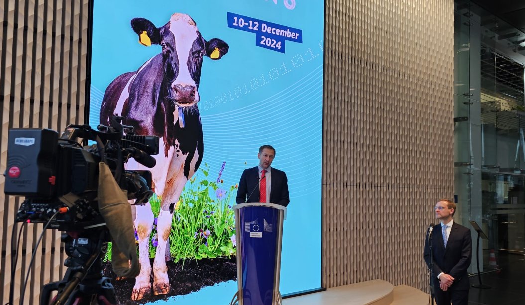 Gerardo Fortuna tweet media