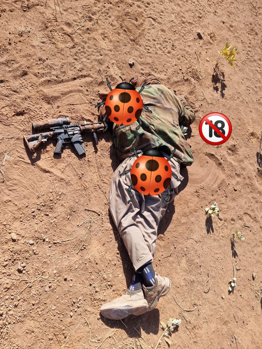 Jana_Shah's tweet photo. Balochistan:
An entire Tashkeel of militants coming from Afghanistan has been taken out by Pakistani SSG forces at Sartoi, Zhob.
The Tashkeel includes Afghan Citizens.
The group was moving towards DI Khan.
(Feel free to ask for images of tangos)