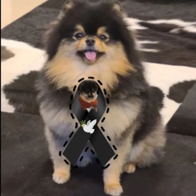 katyserran2018's tweet photo. #NuevaFotoDePerfil https://t.co/JR6T3WC6fY
