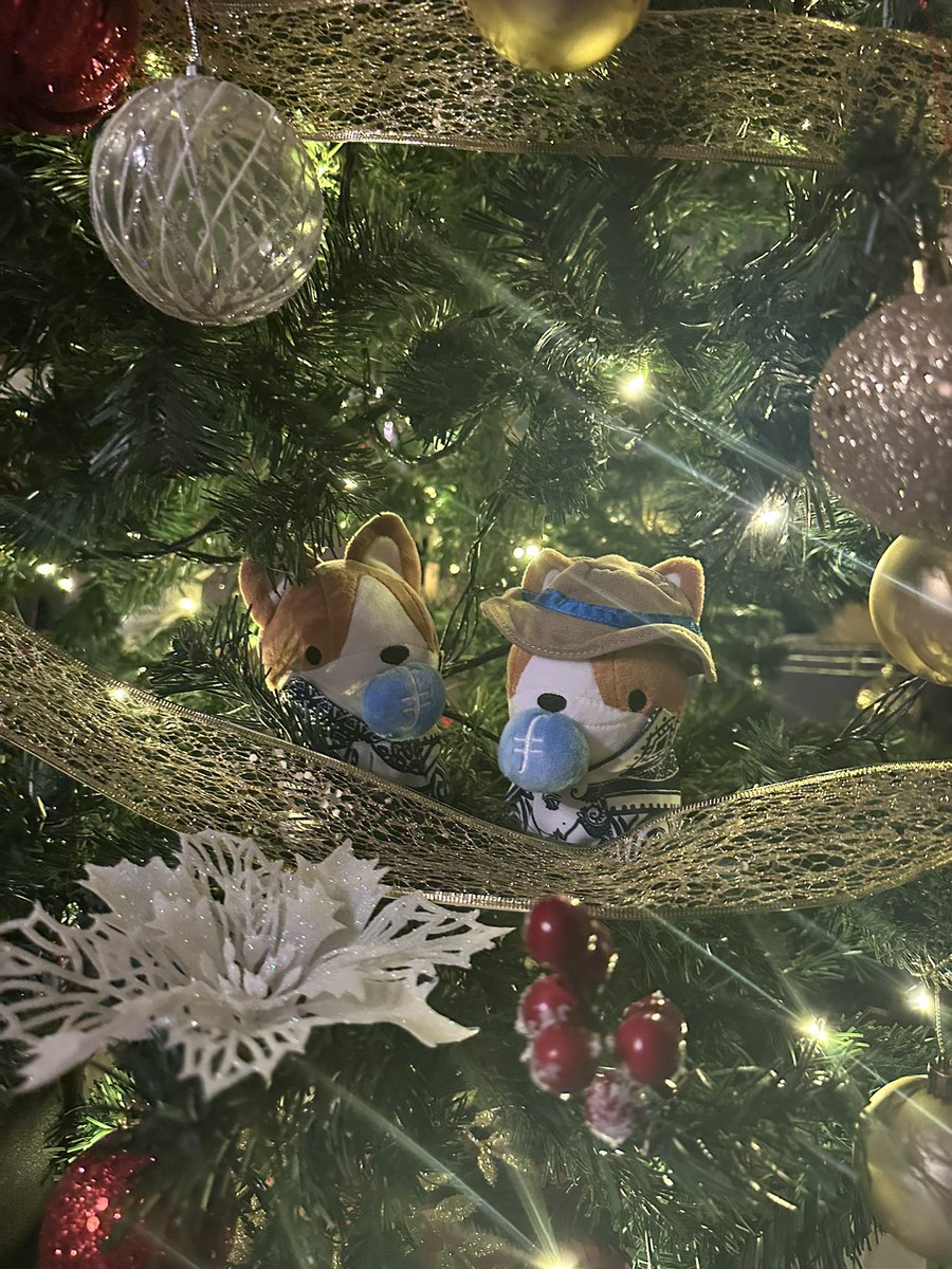arthurtankl's tweet photo. when the corgis made it to my christmas tree this year 🎄🐶😍

@Filecoin @FILLiquid #FIL #FIG https://t.co/XCoQ3nsz9m