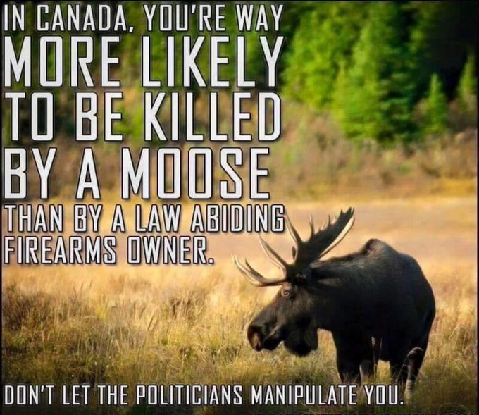 🏴‍☠️ 𝔾𝕦𝕟𝕟𝕚𝕖 𝕄𝕒𝕕𝕔𝕒𝕥 🏴‍☠️ tweet media