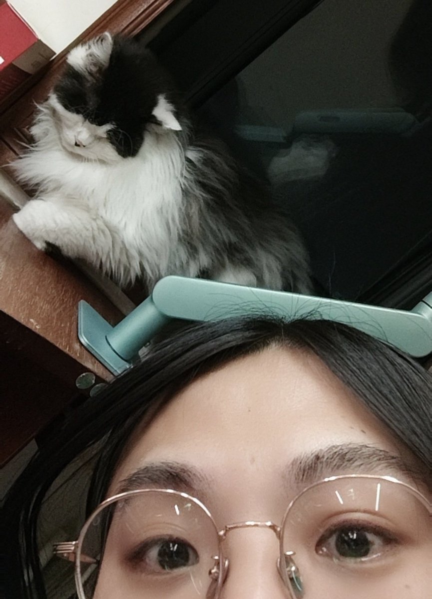 ELSADOS233's tweet image. 