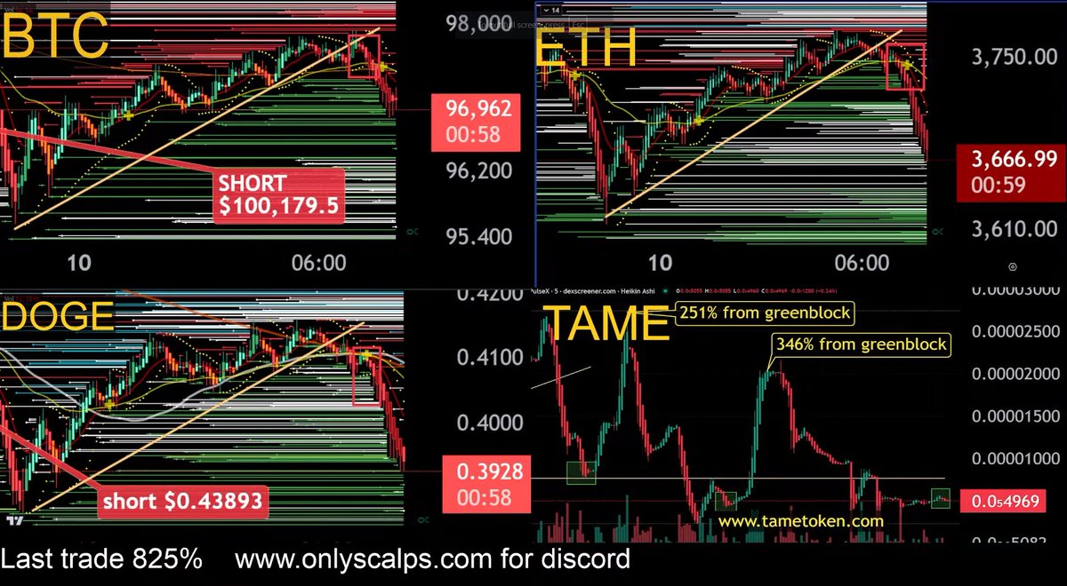 Tame Token tweet media