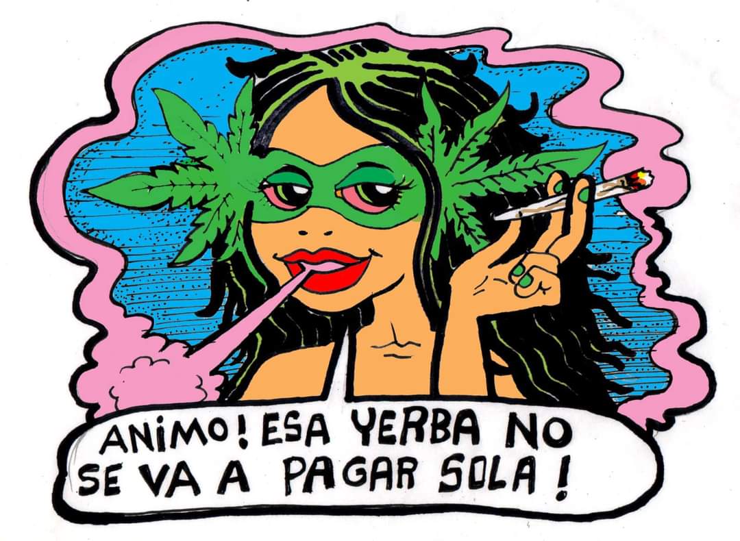 ando_volada_'s tweet photo. https://t.co/TXxMLcM2EQ