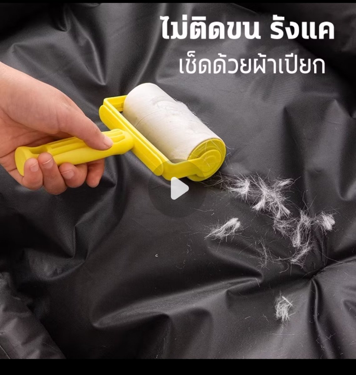 Miss_robot84's tweet photo. #ที่นอนสัตว์เลี้ยงเบาะสัตว์เลี้ยงกันน้ำ ป้องกันสิ่ง สกปรก นุ่ม สบาย ที่นอนหมา ที่นอนแมว ที่นอนสุนัข L/XL/XXL

❤️❤️❤️❤️❤️❤️❤️❤️❤️❤️

🫰พิกัดสินค้านี่เลยจ้า🫰
👇
👇
👇💯🎉💪
👉https://t.co/XN6jq1dD4T https://t.co/VvGpTo7WCc