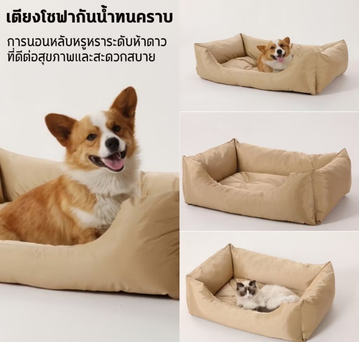 Miss_robot84's tweet photo. #ที่นอนสัตว์เลี้ยงเบาะสัตว์เลี้ยงกันน้ำ ป้องกันสิ่ง สกปรก นุ่ม สบาย ที่นอนหมา ที่นอนแมว ที่นอนสุนัข L/XL/XXL

❤️❤️❤️❤️❤️❤️❤️❤️❤️❤️

🫰พิกัดสินค้านี่เลยจ้า🫰
👇
👇
👇💯🎉💪
👉https://t.co/XN6jq1dD4T https://t.co/VvGpTo7WCc