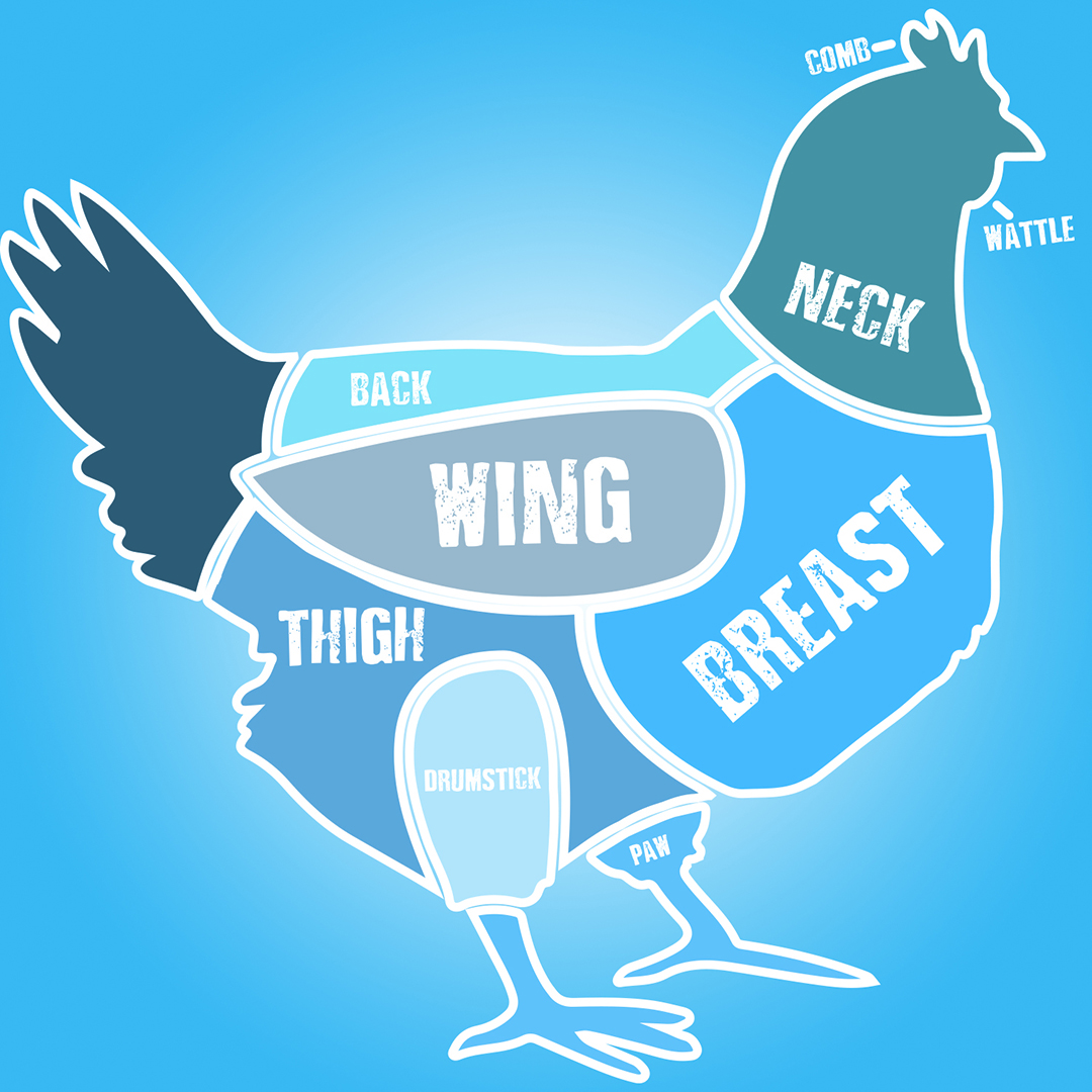 BellandEvans's tweet photo. Can you name all the parts of the chicken?  Hint: One is missing. #chickencheckin https://t.co/5w4we9oC0M