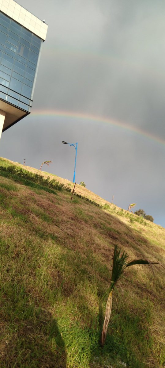 shimmeringkid's tweet photo. Today and for the first time I saw double rainbow in the sky in front of me🌈 #Rain https://t.co/wlmvz9Jwam
